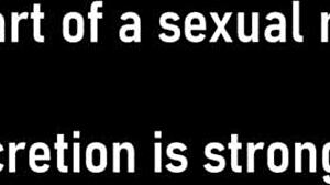 Yasmine Wood Humiliated Feelings Tampa Uni Entrance Physical