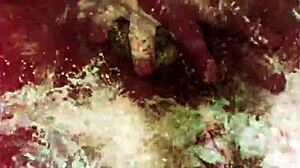 dark lantern entertainment showcases vintage nature girls with hairy beavers