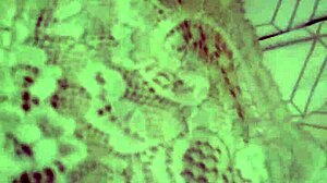 Worship Elza Kom's Sexy Armpits in Fetish Lick and Sniff Frenzy Beautiful Closeup!