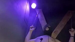 Maitresse Kantalis Bound In Club Cage And Carcan