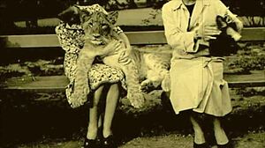 dark lantern entertainment showcases vintage nature girls with hairy beavers