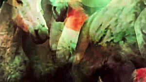 dark lantern entertainment showcases vintage nature girls with hairy beavers