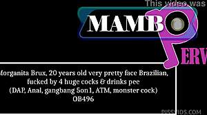 morganita's pretty brazilian ass wrecked by four huge cocks dap