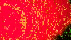 can this hot tattooed alt girl tame your massive black cock?