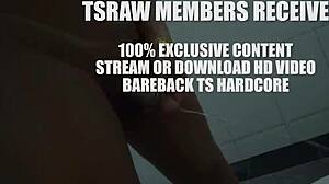 yo this tranny gets fisted hard in wild gay transsexual action