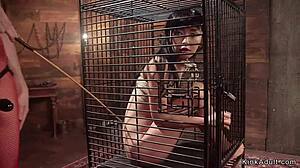 imagine this petite asian lesbian bound and choked, her ass fucked deep in hardcore lezdom gangbang