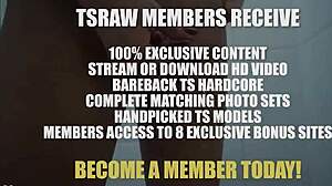 yo this tranny gets fisted hard in wild gay transsexual action