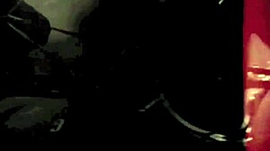 dark lantern entertainment showcases vintage nature girls with hairy beavers