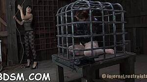 this couple dives into rough pov hardcore with ball licking blowjob missionary pounding and pussy orgasm servitude