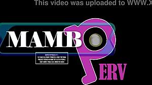 11 19yo ebony princess jenny pretinha DAPED public anal monster cocks everywhere