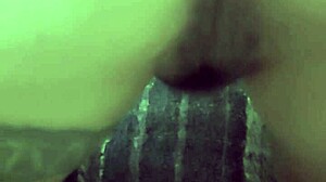 papi, mira como esta puta latina se deja penetrar de perrito en casero