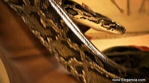 my indian ex girlfriend solo tease