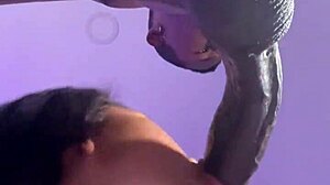 Pretty brunette teen slut deepthroats stepbro's monster bbc before rough goodbye fuck