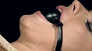 bound beauty teases then hungers for master's deep ass thrusting part 3