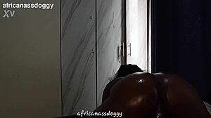 soft jiggly big ass rides monster black cock doggystyle oiled