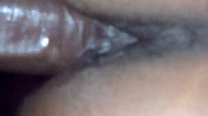 jamaican girl explores caribbean vibes