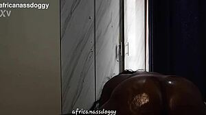 soft jiggly big ass rides monster black cock doggystyle oiled