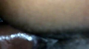 jamaican girl explores caribbean vibes