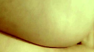 sundaydogood614 drops intriguing update 173 on may 01