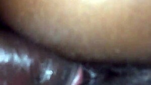 jamaican girl explores caribbean vibes