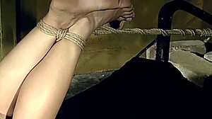 bound beauty teases then hungers for master's deep ass thrusting part 3