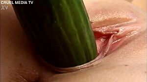 Sexy Czech Blonde Gina Teases Tight Pussy with Fruits Solo