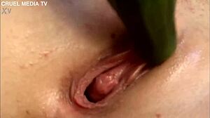 Sexy Czech Blonde Gina Teases Tight Pussy with Fruits Solo