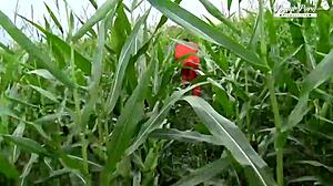 stepbrother escaped prisoner bangs blondes pussy group threesome!