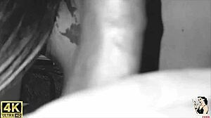 hey babe my blonde lover sucked my cock then i creampied her pussy till she screamed