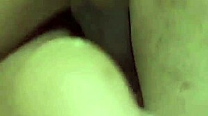 egyptian milf loves sucking that big masry cock