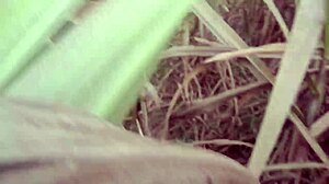 indian desi village girl pisses publicly outdoors for first time thrill