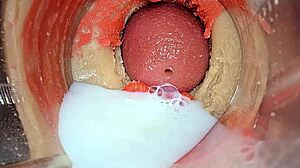 close up big pussy lips oiled squirt on huge cock asmr creampie with camera inside