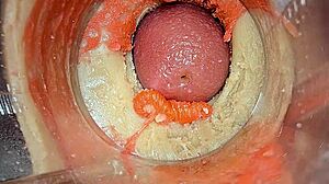 close up big pussy lips oiled squirt on huge cock asmr creampie with camera inside