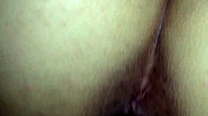 my bull pounds me rough missionary while cuckold hubby waits intrigued