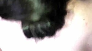 petite latina teen with big natural tits gets missionary creampied after school