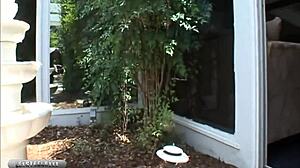 missy monroe, does anal with lex make you cum on face?