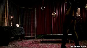 Busty Blonde Mistress Strapon Anal Fucks Bound Male