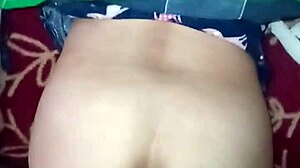Group swingers devour prostitute's juicy ass cheeks