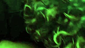 GRANNY GUMMER SUCKS HARD