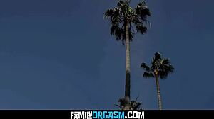 Family Orgy Swaps Stepdaughters Sera Ryder Penelope Kay Big Ass Anal Ride