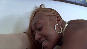 Bbw ms cleo worships super sized ebony ass with licks