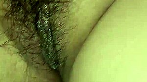 Brunette wife hairy beaver spread wide open teasing