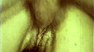 vintage interracial asian hairy blowjob fucking fills antique screens