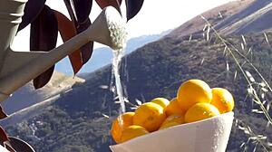 wanna see jillian janson cum hard outdoors in her natural beauty