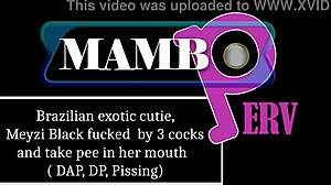 brazilian cutie meyzi black takes 3 cocks dap dp atm pissing dirty talk bbc in mouth