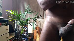 brazilian daddy bear strokes his fat hairy monster cock solo