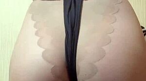 big ass mistress elza koms curves demand worship in lingerie and heels domination