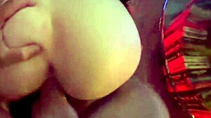 La dh xxx flaunts her hollywood home with california cock cravings