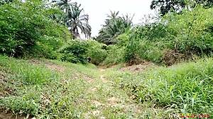 Local forest lady treks home from woods boldly