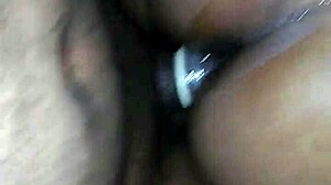 Ebony Hood Chick Rides Massive Black Cock Hardcore